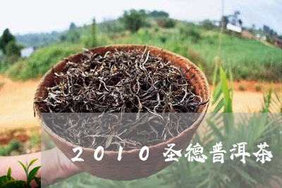 2010圣德普洱茶/2023091434825