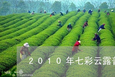 2010年七彩云露普洱茶价格/2023053026958