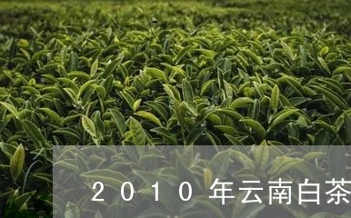 2010年云南白茶现在多少钱/2023111786925