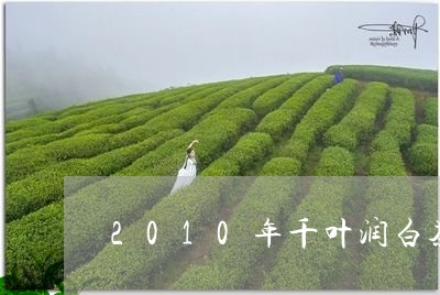 2010年千叶润白茶/2023092706392