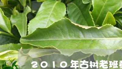 2010年古树老班章/2023092482927