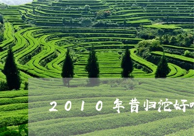 2010年昔归沱好喝/2023060864825