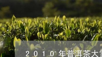 2010年普洱茶大雪山茶饼价格/2023060295058