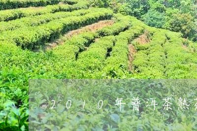 2010年普洱茶熟茶价格如何/2023052992038