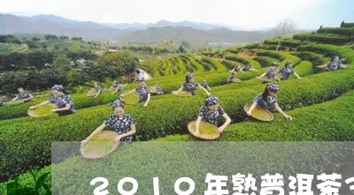 2010年熟普洱茶357克多钱/2023060263735