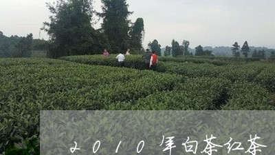 2010年白茶红茶/2023071395149