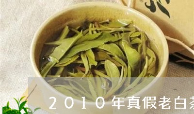 2010年真假老白茶/2023092747190