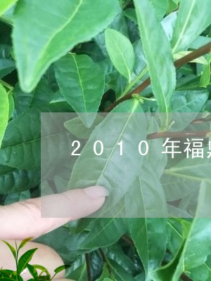 2010年福鼎大白茶/2023092070593