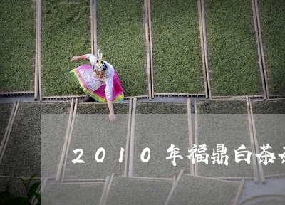 2010年福鼎白茶茶饼/2023092136268