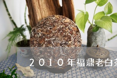 2010年福鼎老白茶饼/2023092234625