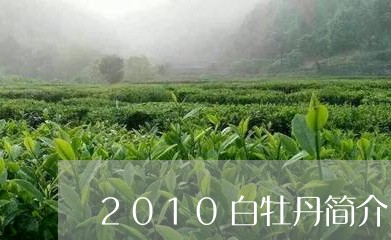 2010白牡丹简介/2023120517371