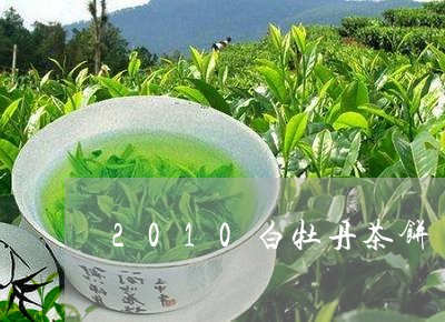 2010白牡丹茶饼/2023120595930