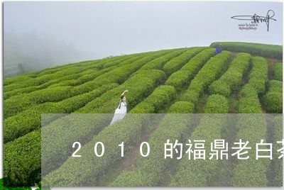 2010的福鼎老白茶/2023092005260