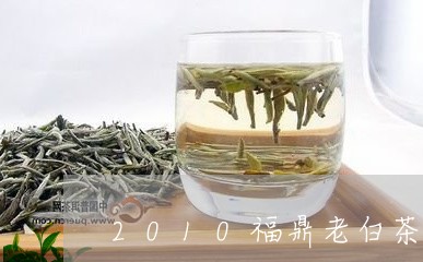 2010福鼎老白茶价格/2023092227281