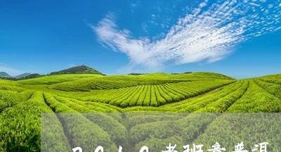 2010老班章普洱/2023042717150