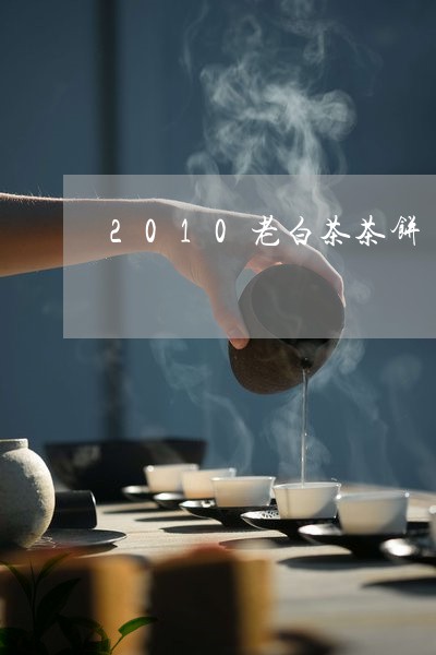 2010老白茶茶饼/2023121511942