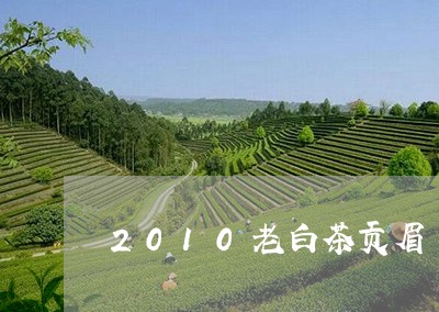 2010老白茶贡眉/2023120347259