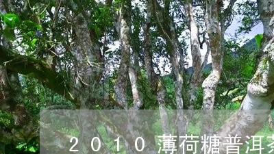 2010薄荷糖普洱茶/2023112766048