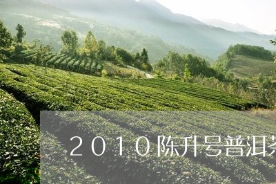 2010陈升号普洱茶/2023100835946