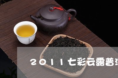 2011七彩云露普洱茶/2023122082514