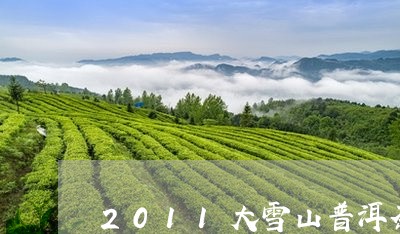 2011大雪山普洱茶/2023092879361