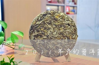 2011年产的普洱茶/2023061937350