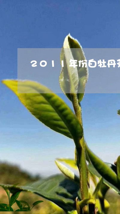 2011年份白牡丹茶饼/2023092231794