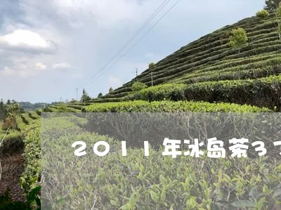 2011年冰岛茶375克/2023051251859