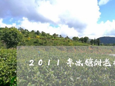 2011年冰糖甜老寿眉/2023092472035