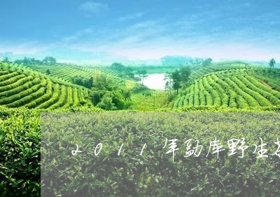 2011年勐库野生茶/2023071652614