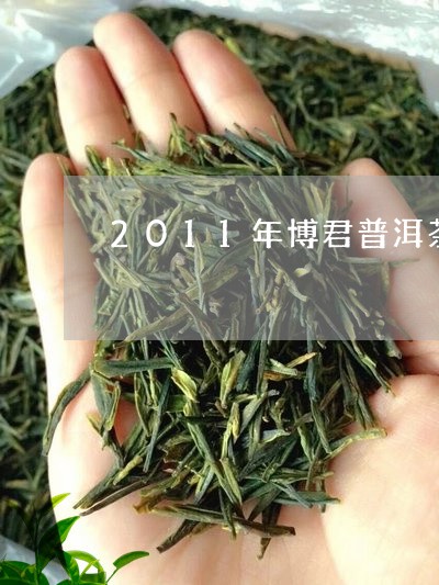 2011年博君普洱茶/2023100616279