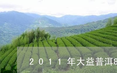 2011年大益普洱8592熟茶/2023060326058