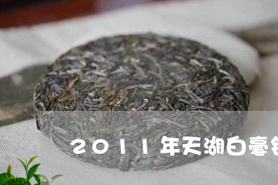 2011年天湖白毫银针/2023092349270