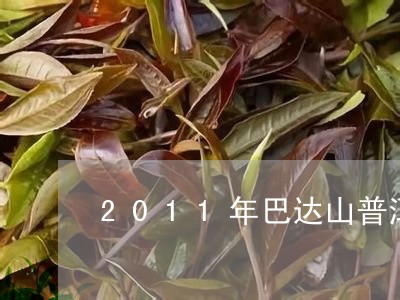 2011年巴达山普洱生茶价格/2023053129472