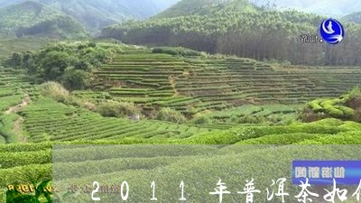 2011年普洱茶如何/2023100811624