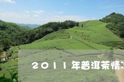 2011年普洱茶情况/2023100839371