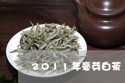 2011年毫芽白茶/2023121524048