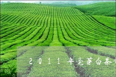 2011年毫芽白茶饼/2023092728483