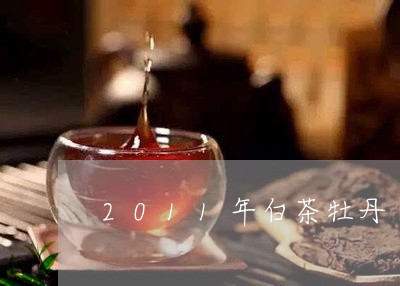 2011年白茶牡丹/2023071347482