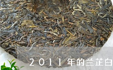 2011年的兰芷白茶/2023092724249