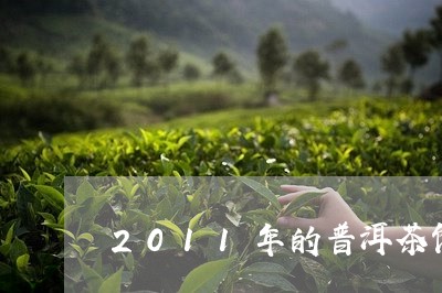 2011年的普洱茶饼/2023100579481