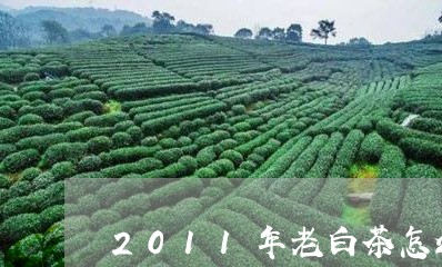 2011年老白茶怎么冲泡/2023111708360