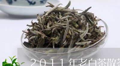 2011年老白茶散茶/2023092709725