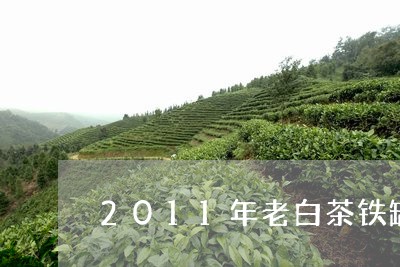 2011年老白茶铁罐/2023092732957