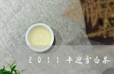 2011年迎雪白茶/2023121598504