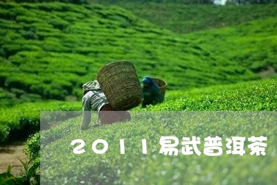 2011易武普洱茶/2023091407170