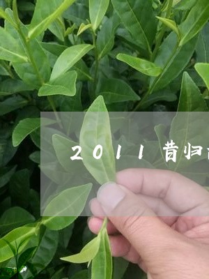 2011昔归古树生茶/2023061024161