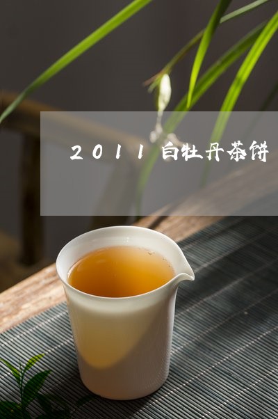 2011白牡丹茶饼/2023120582715