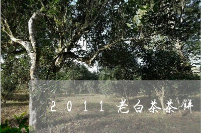 2011老白茶茶饼/2023121552724