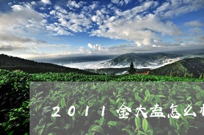 2011金大益怎么样/2023071622838